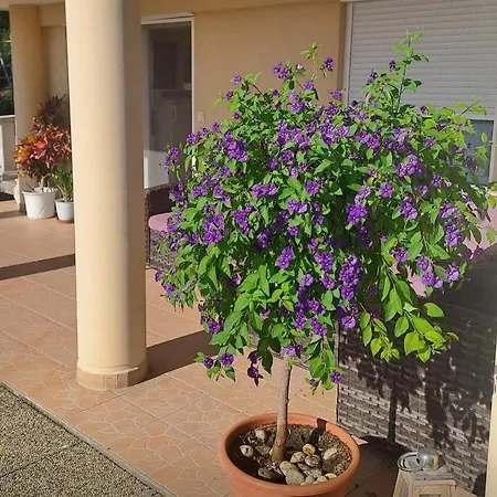 Harmonia Apartmán